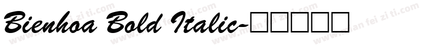 Bienhoa Bold Italic字体转换